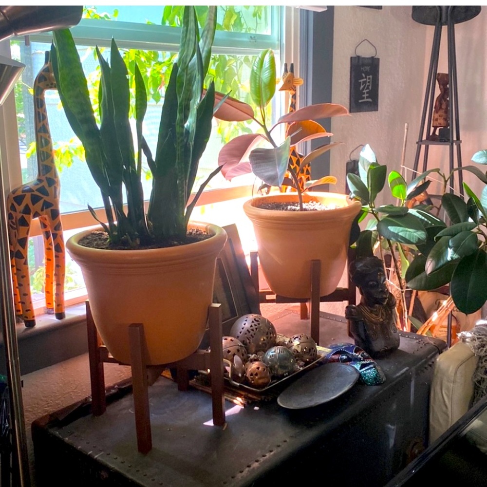 3 for $33 Better Homes & Gardens Expandable Wooden Plant Stands.